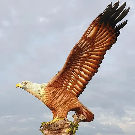 Goldener Adler Holtland
